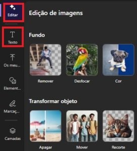 Menu lateral de um editor de imagens com botões destacados para "Editar" e "Texto", além de opções para remover ou desfocar o fundo.