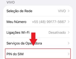 Menu de configurações de rede da operadora Vivo no iPhone, com uma seta vermelha indicando a opção "PIN do SIM".